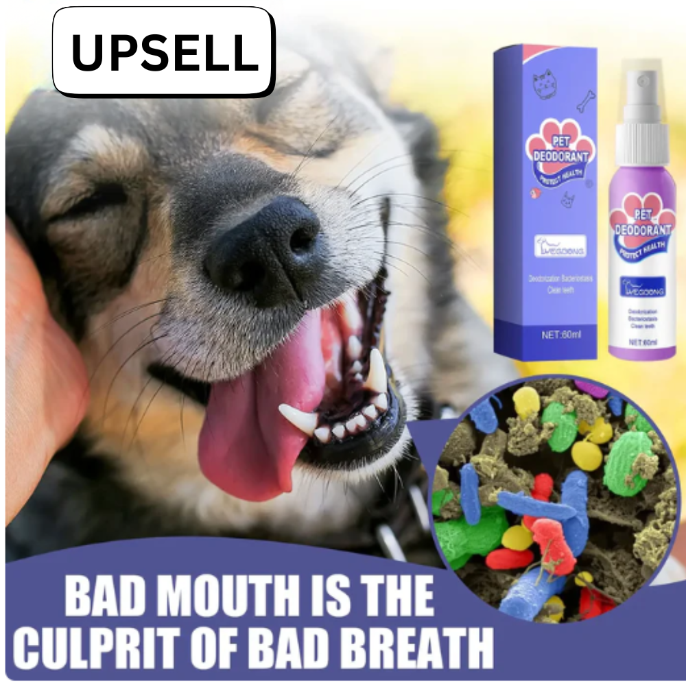 FurEase Pet Hair Cleaning Glove