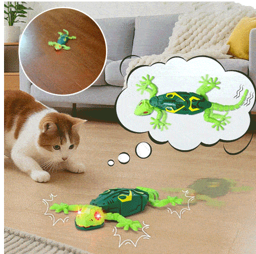 Wallie Gecko Toy