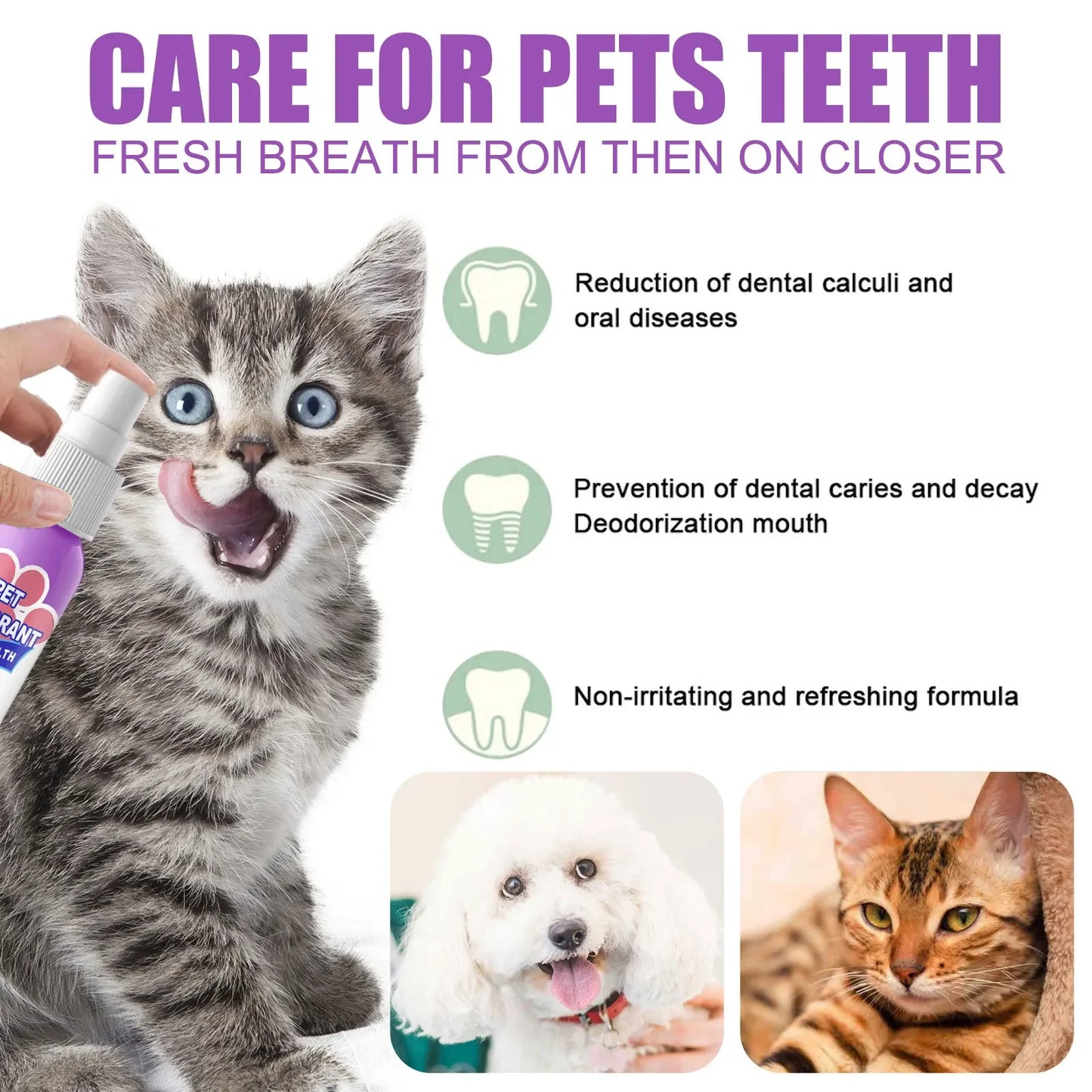 Fresh Breath Pet Spray