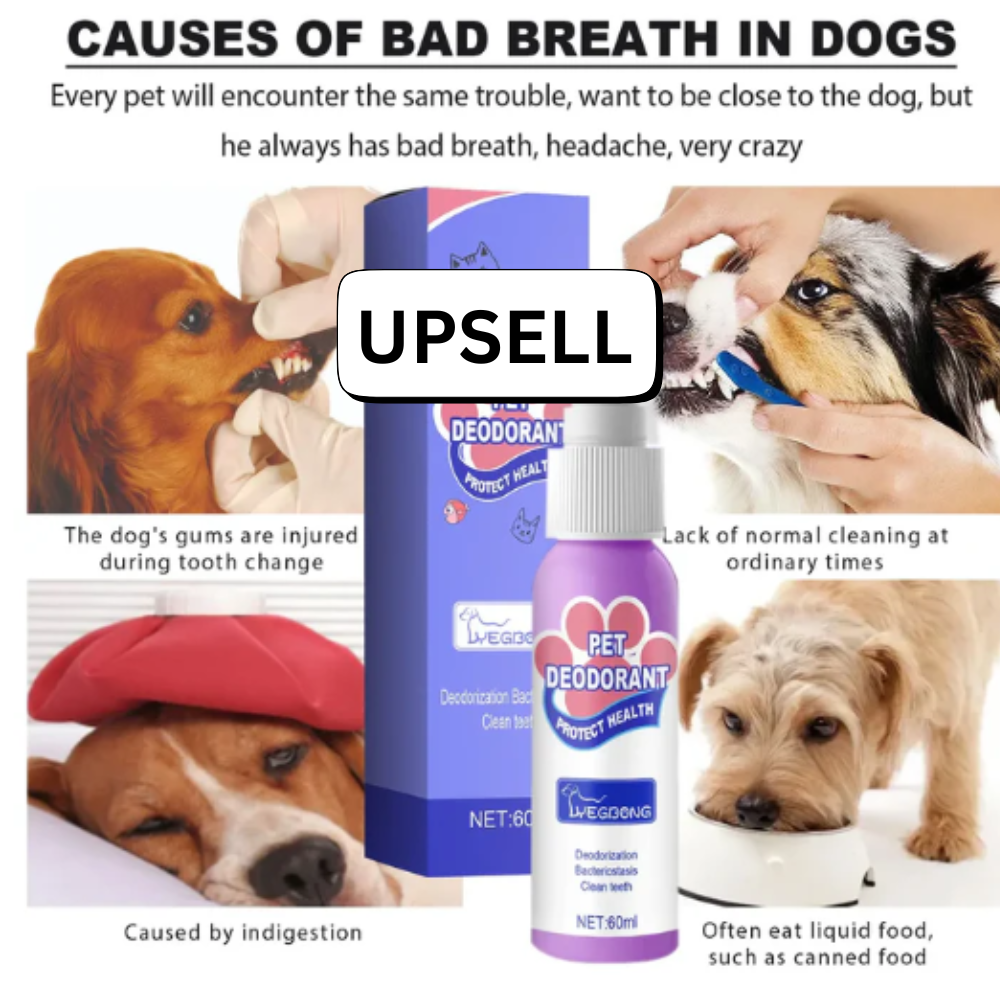 FurEase Pet Hair Cleaning Glove