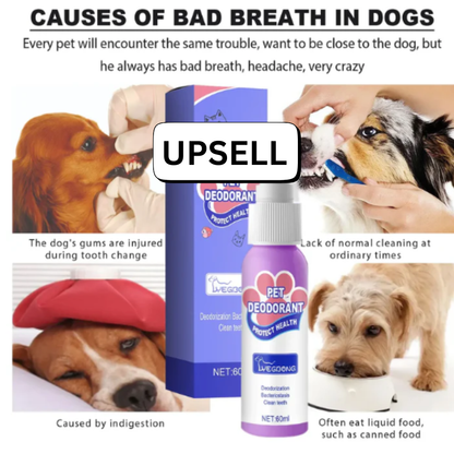 FurEase Pet Hair Cleaning Glove