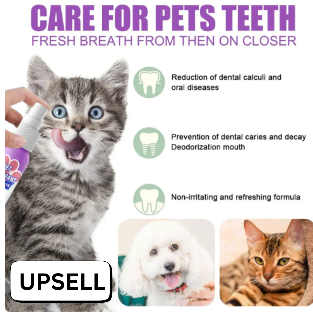 FurEase Pet Hair Cleaning Glove