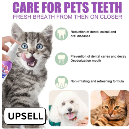 FurEase Pet Hair Cleaning Glove