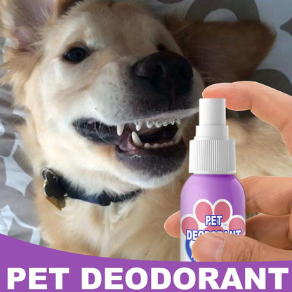 Fresh Breath Pet Spray