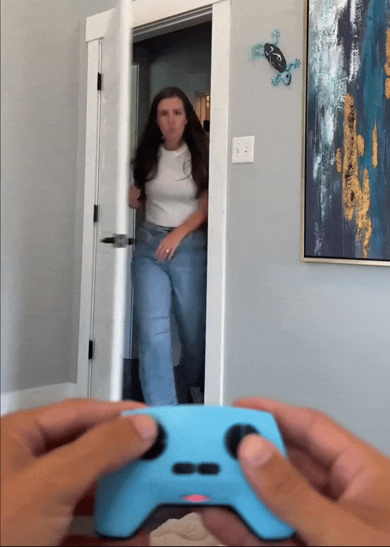 Wall Climbing Gecko Toy