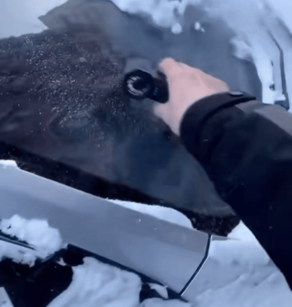 SnowJet Compact Silent Turbo Blower