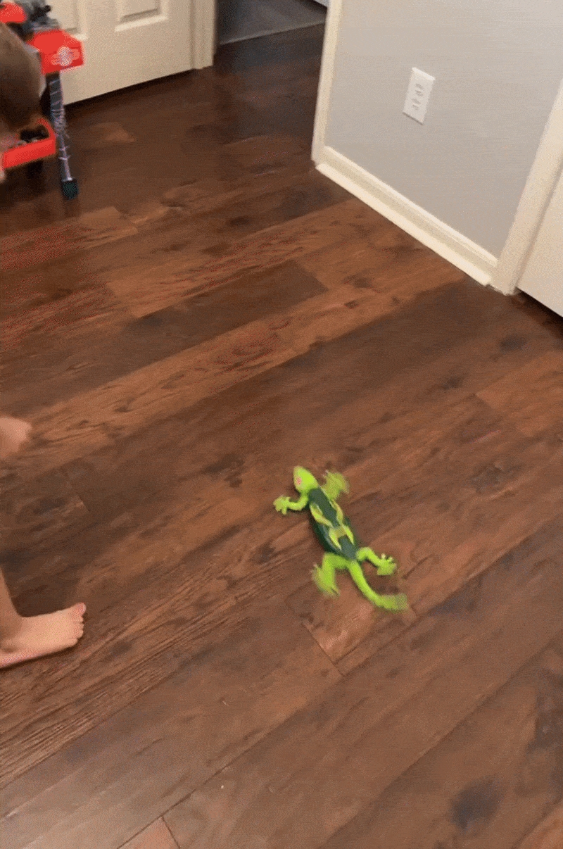 Wall Climbing Gecko Toy