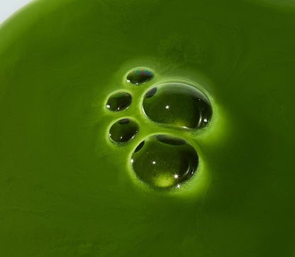 Peak Focus Matcha Magnesium Blend