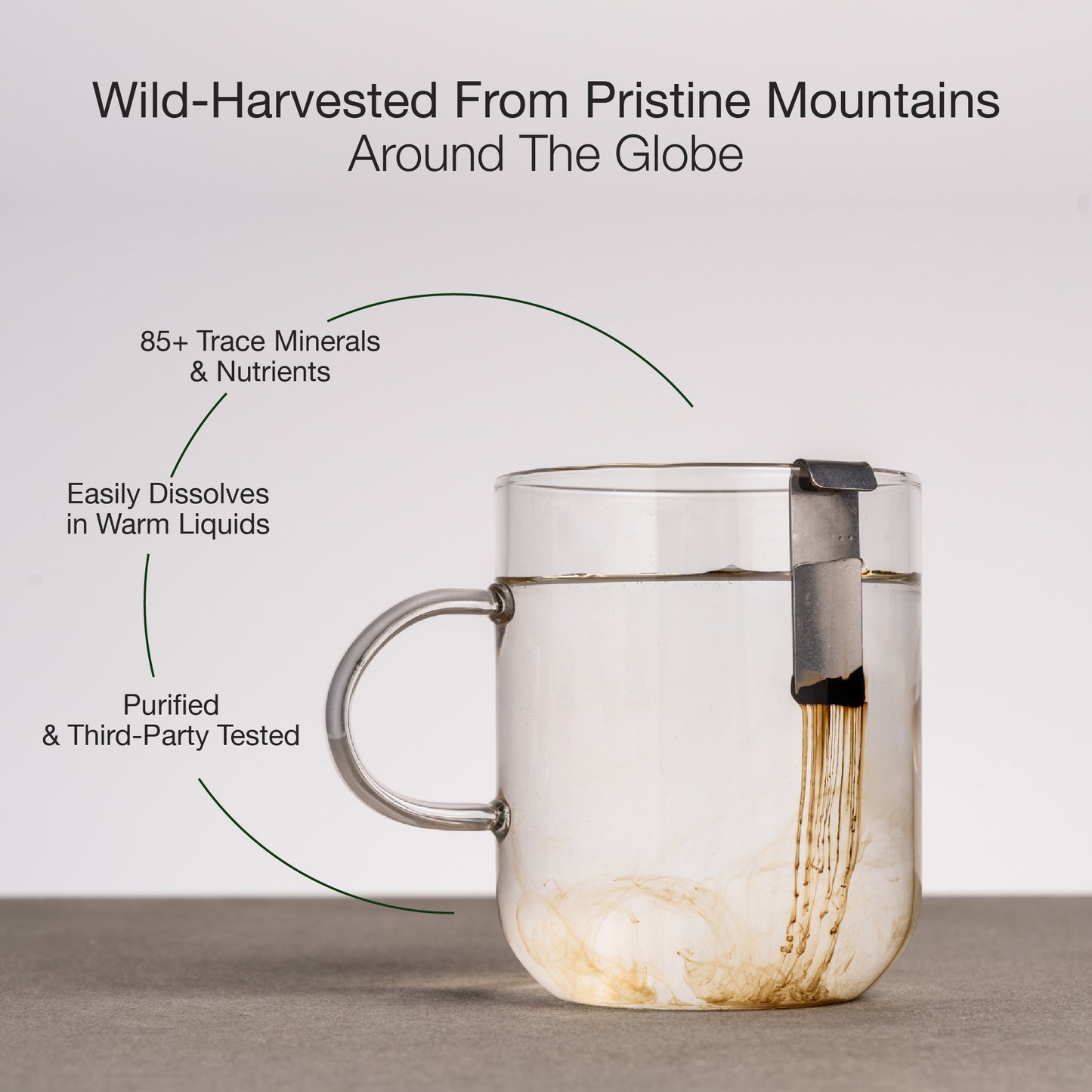 Mountain Vitality Daily Shilajit Resin