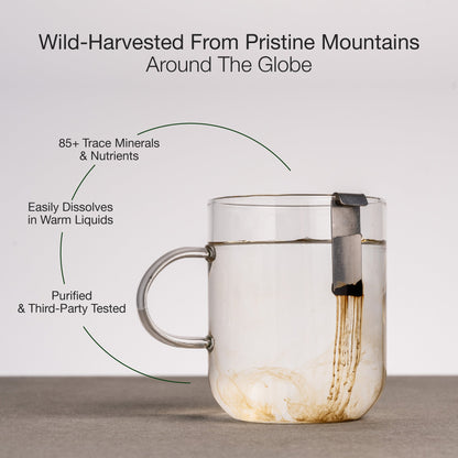 Mountain Vitality Daily Shilajit Resin